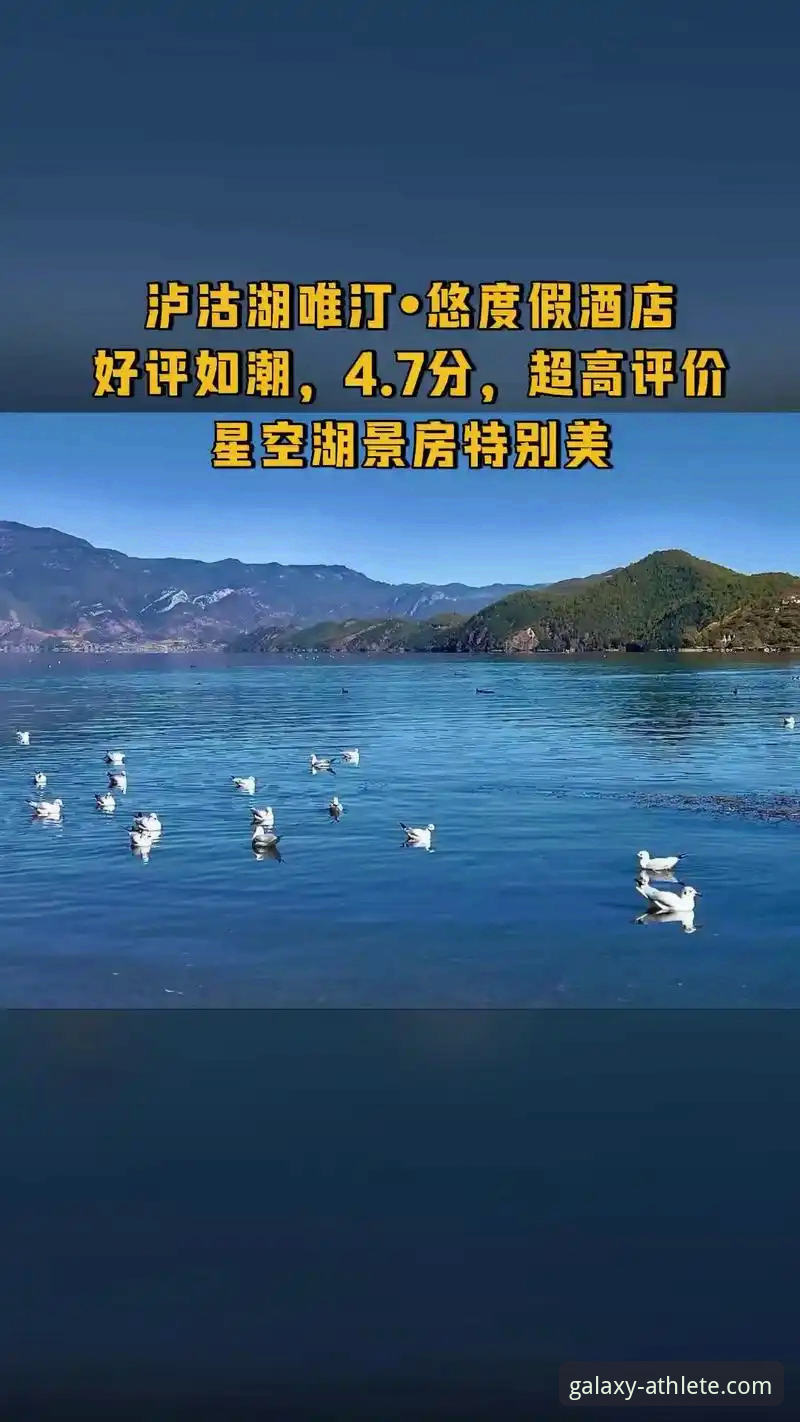 星空体育直播平台哪个好 新手必看!星空体育直播平台哪个好?我的真实使用心得与详细测评